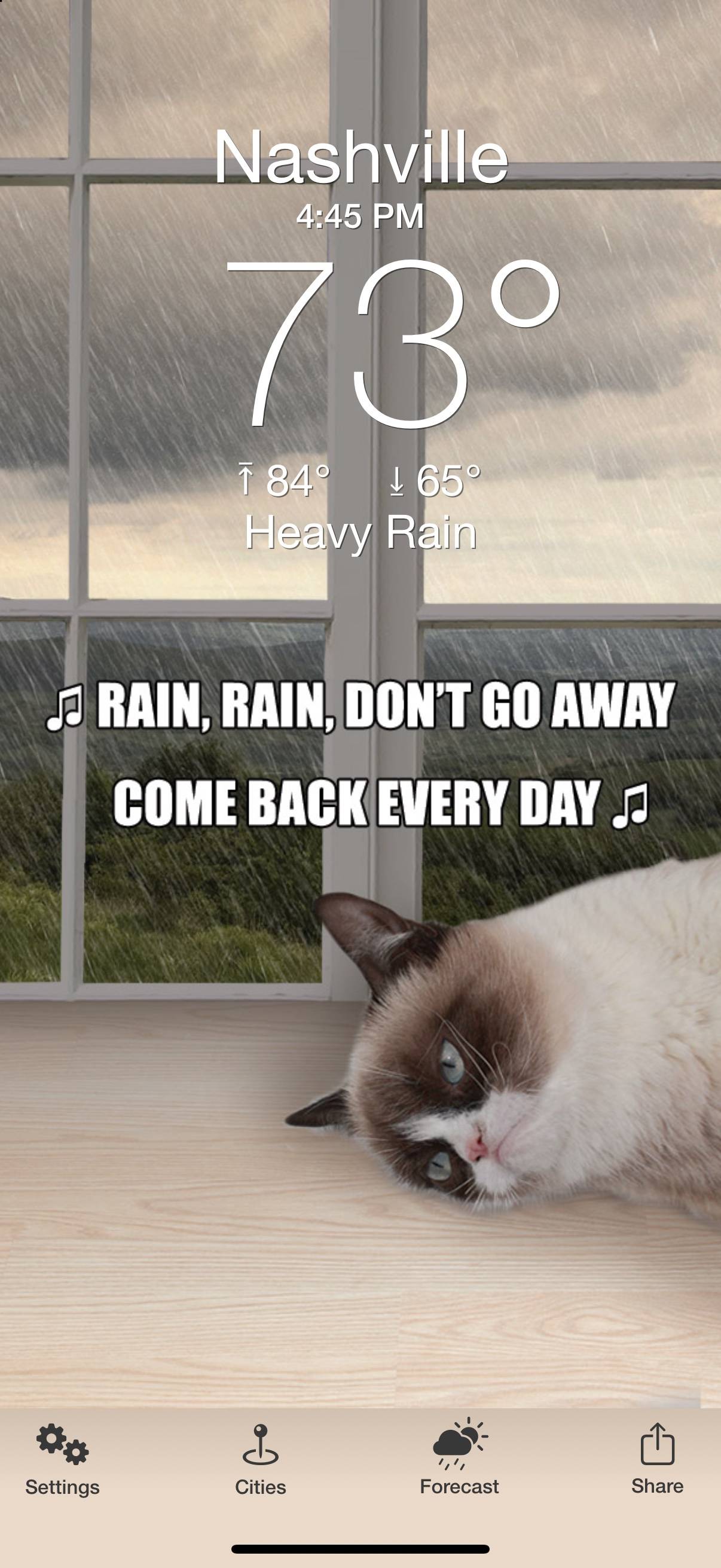 Weather Puppy: The Daily Meow